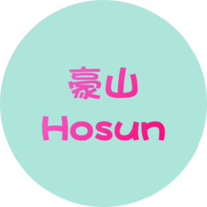 豪山 Hosun 瓦斯爐